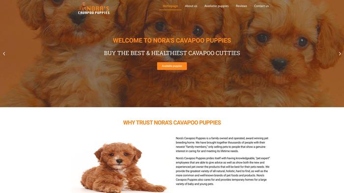 Noracavapoopuppies.com - Cavapoo Puppy Scam Review