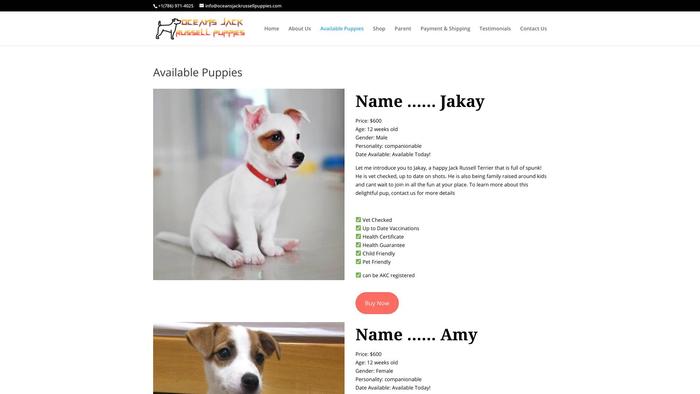 Oceansjackrussellpuppies.com - Jack Russell Terrier Puppy Scam Review