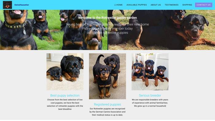 Onlinehaustiere.com - Rottweiler Puppy Scam Review