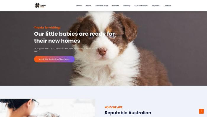 Ouraussiepuppies.com - Australian Shepherd Puppy Scam Review