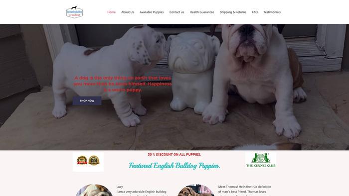 Outstandingbulldogpuppies.com - English Bulldog Puppy Scam Review