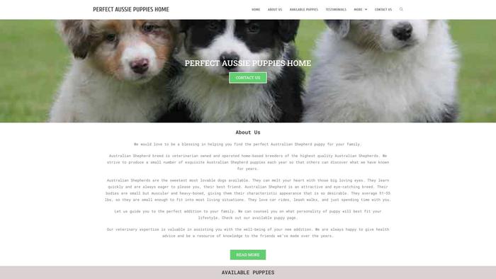 Perfectaussiepuppies.com - Australian Shepherd Puppy Scam Review