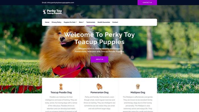 Perkytoyteacuppuppies.com - Pomeranian Puppy Scam Review