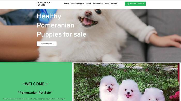 Pomeranianpetsale.com - Pomeranian Puppy Scam Review