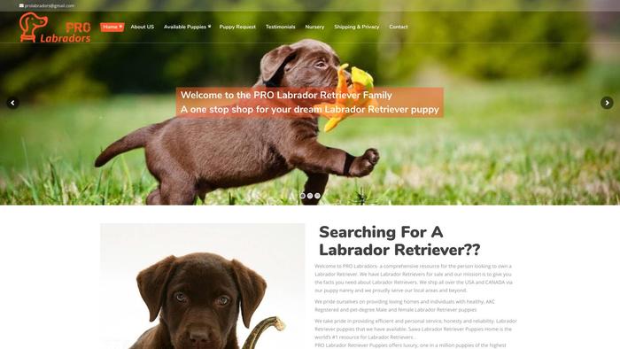 Prolabradors.com - Labrador Puppy Scam Review