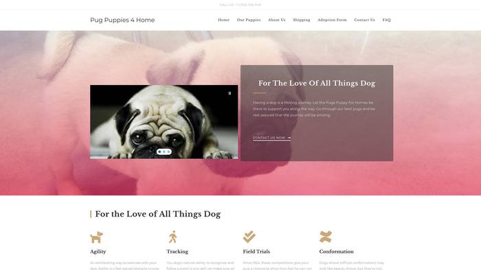 Pugspuppy4homes.com - Pug Puppy Scam Review