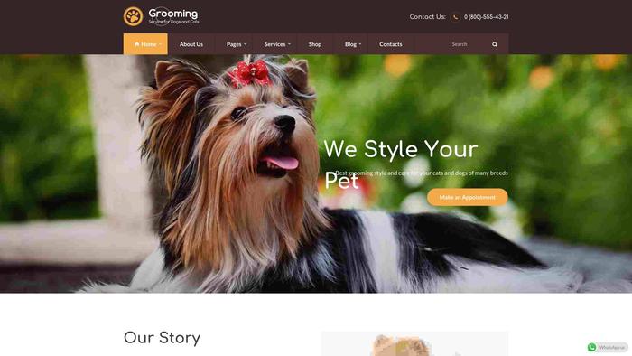 Puppyspotter.com - Yorkshire Terrier Puppy Scam Review