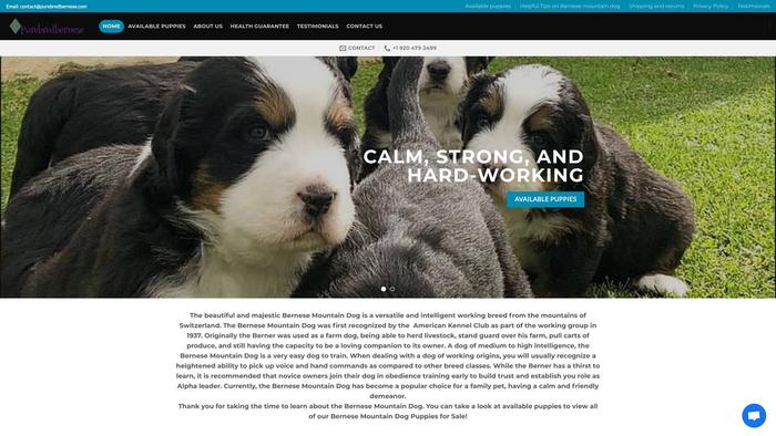 Purebredbernese.com - Bernese Mountain Dog Puppy Scam Review