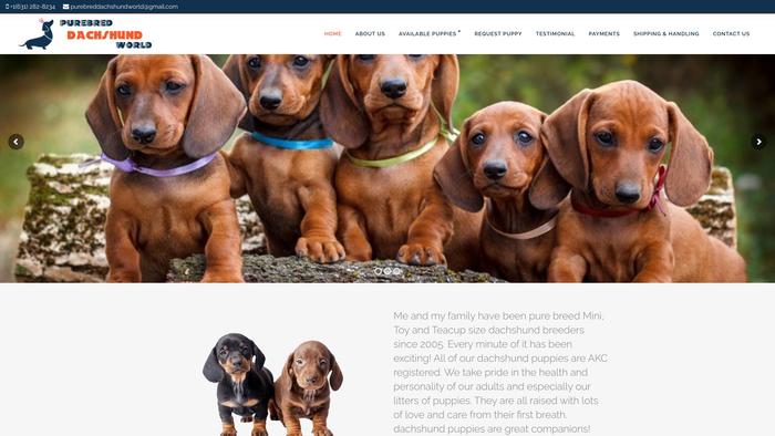 Purebreddachshundworld.com - Dachshund Puppy Scam Review