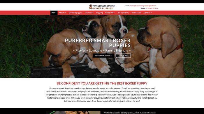 Purebredsmartboxerpuppies.com - Boxer Puppy Scam Review