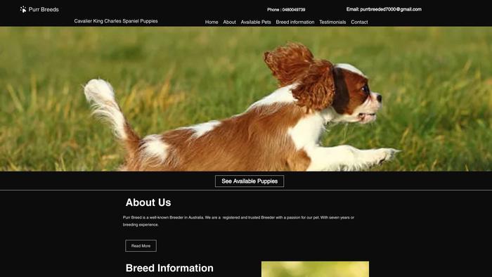 Purrbreedcavalierkc.com - Cavalier King Charles Spaniel Puppy Scam Review