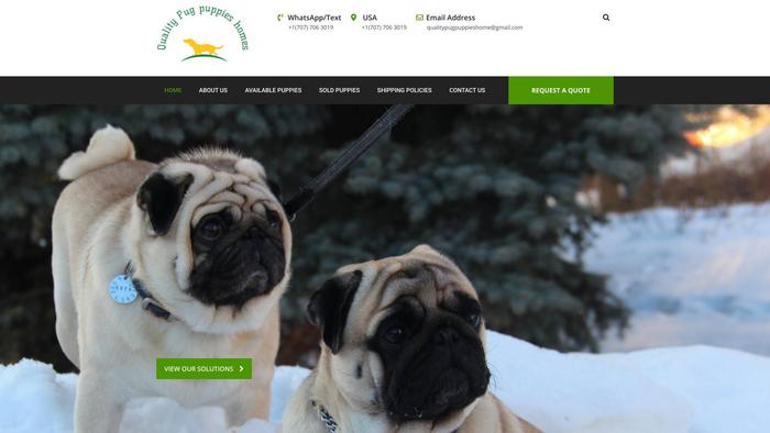 Qualitypugpuppieshomes.com - Pug Puppy Scam Review