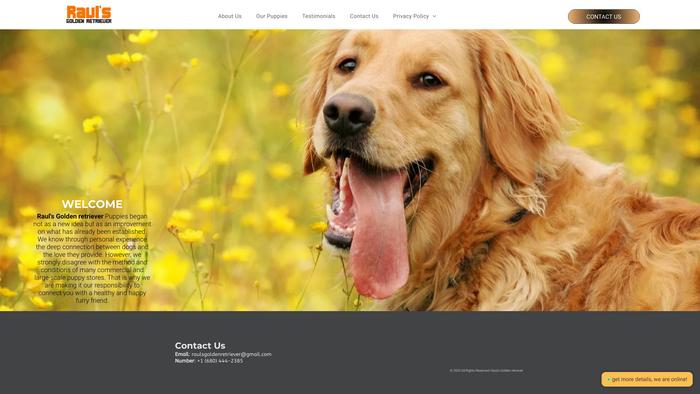 Raulsgoldenretriever.com - Golden Retriever Puppy Scam Review