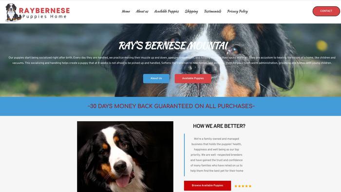 Raybernesepup.com - Bernese Mountain Dog Puppy Scam Review