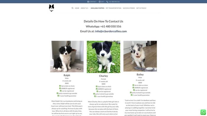 Rcbordercollies.com - Bordercollie Puppy Scam Review