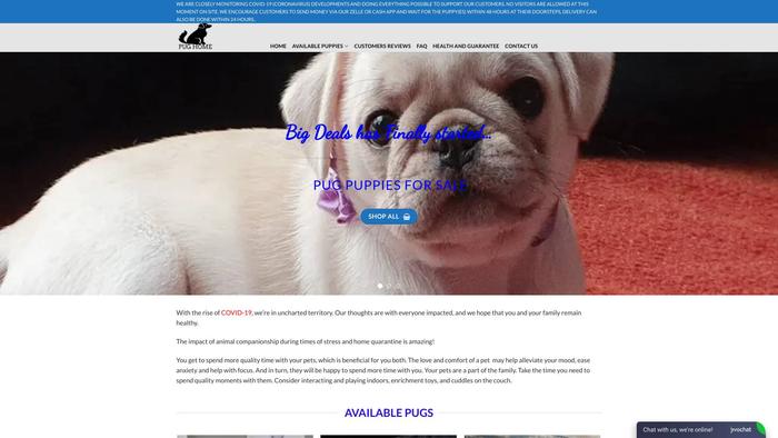 Ready-pug.com - Pug Puppy Scam Review