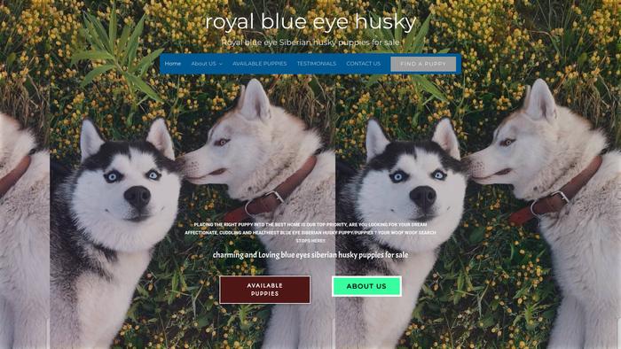 Royalblueeyehusky.com - Husky Puppy Scam Review