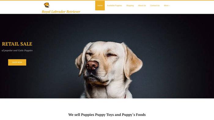 Royallabradorretriever.com - Golden Retriever Puppy Scam Review