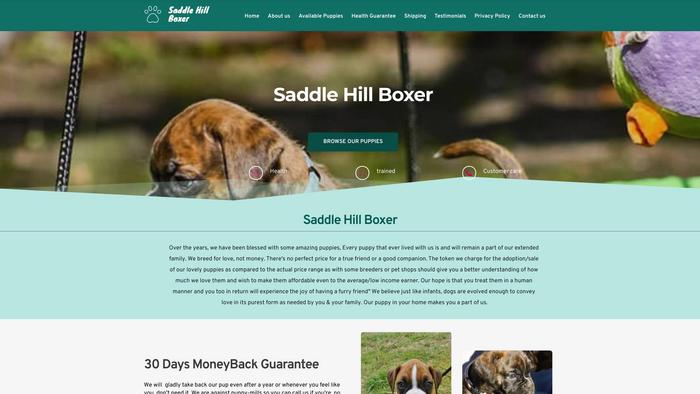 Saddlehillboxer.com - Boxer Puppy Scam Review