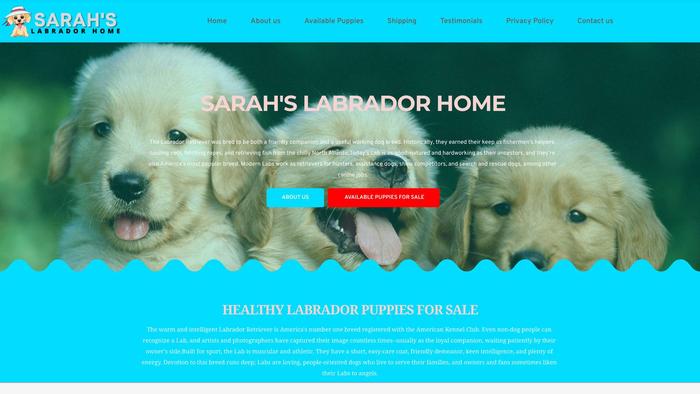 Sarahslabradorhome.com - Labrador Puppy Scam Review