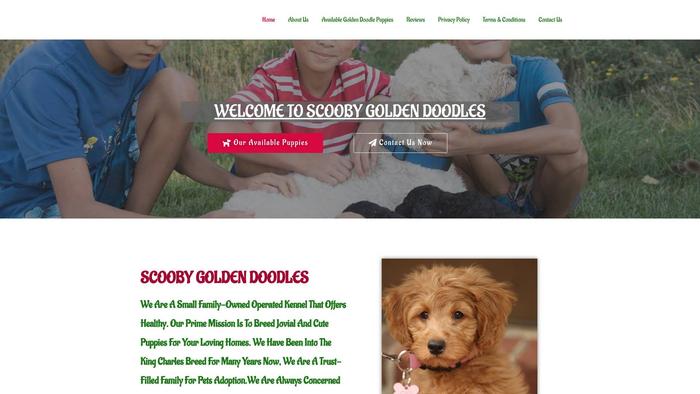 Scoobygoldendoodle.com - Golden Doodle Puppy Scam Review