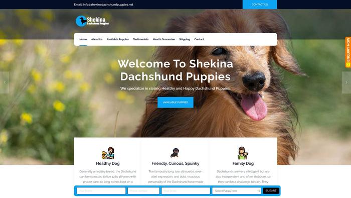 Shekinadachshundpuppies.net - Dachshund Puppy Scam Review