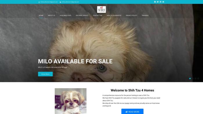 Shihtzu4home.online - Shihtzu Puppy Scam Review