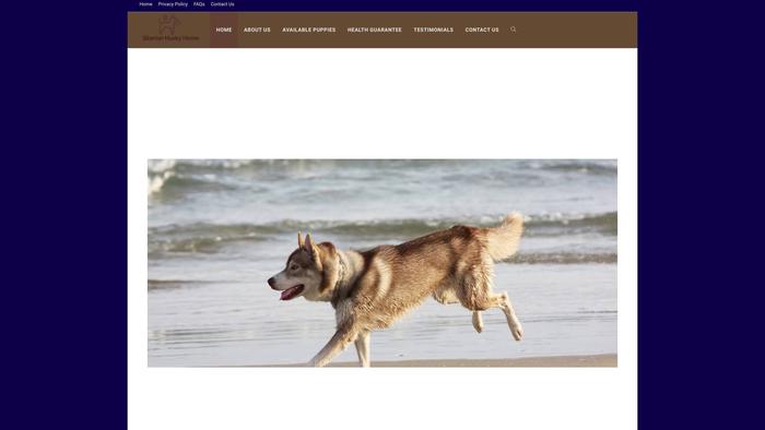 Siberian-huskypuppies.com - Husky Puppy Scam Review