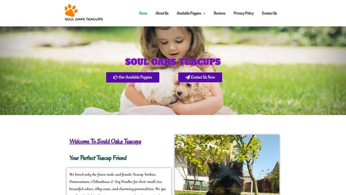 Souloaksteacups.com - Yorkshire Terrier Puppy Scam Review