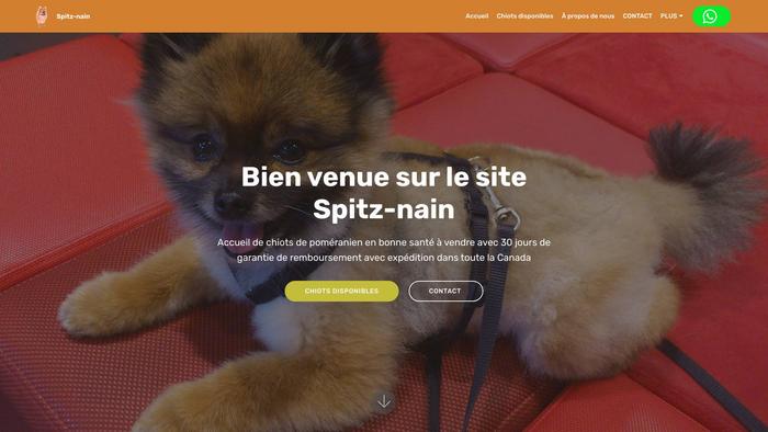 Spitz-nain.net - Japanese Spitz Puppy Scam Review