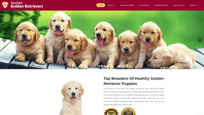 Spoiledgoldenretrievers.com - Golden Retriever Puppy Scam Review