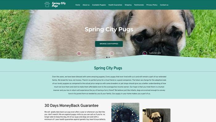 Springcitypugs.com - Pug Puppy Scam Review