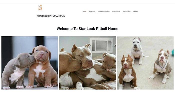 Starlookpitbullhome.com - Pit Bull Puppy Scam Review