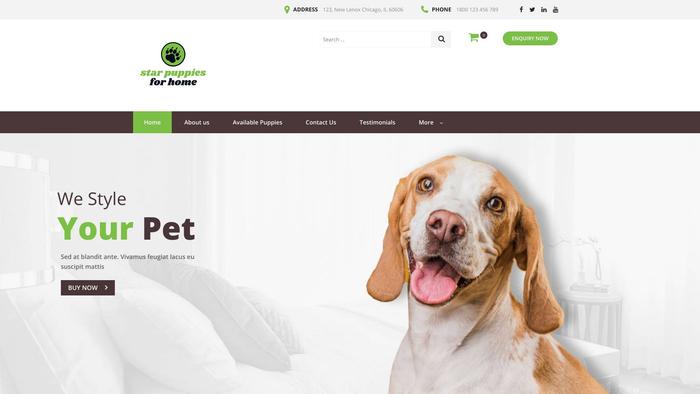 Starpuppiesforhome.com - Beagle Puppy Scam Review