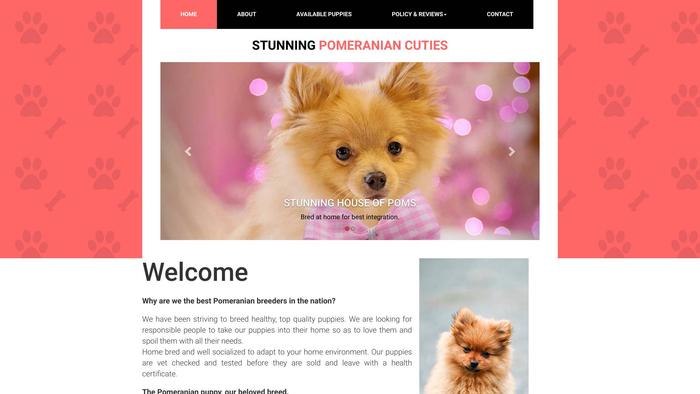 Stunninghouseofpoms.com - Pomeranian Puppy Scam Review