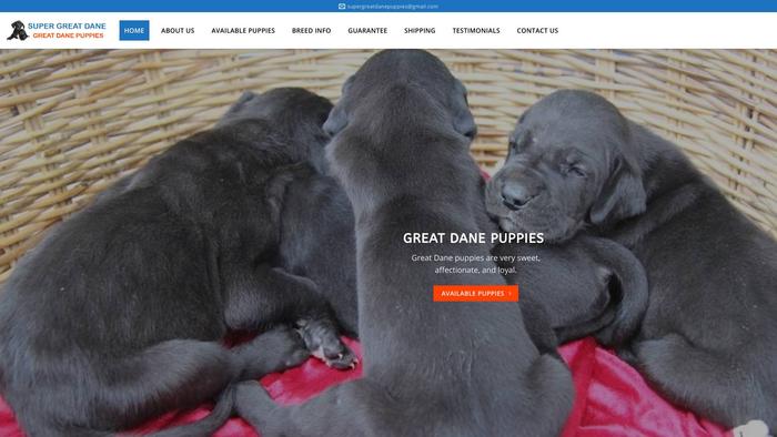 Supergreatdanepuppies.com - Great Dane Puppy Scam Review