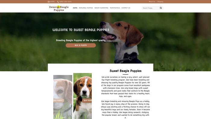 Sweetbeaglepuppies.com - Beagle Puppy Scam Review