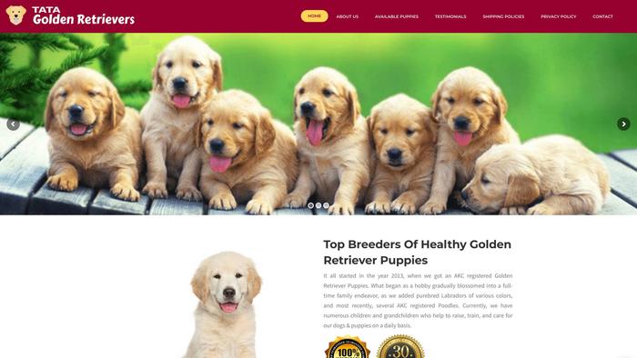 Tatagoldenretrievers.com - Golden Retriever Puppy Scam Review