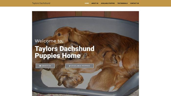 Taylorsdachshund.com - Dachshund Puppy Scam Review