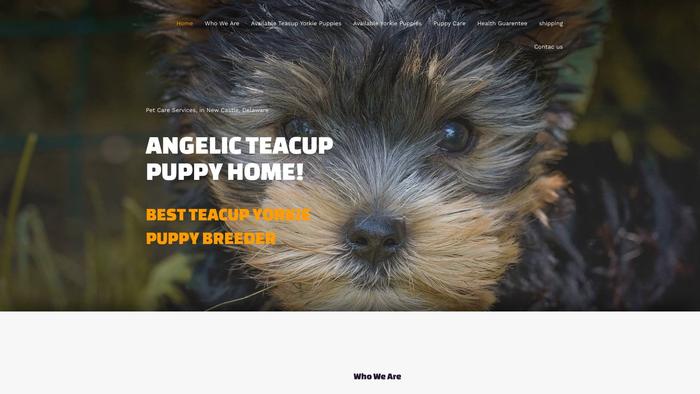 Teacup4homes.com - Yorkshire Terrier Puppy Scam Review