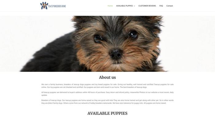 Teacupbreedershome.net - Yorkshire Terrier Puppy Scam Review