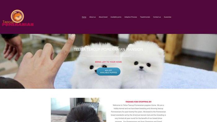 Telisapomeranianhome.com - Pomeranian Puppy Scam Review