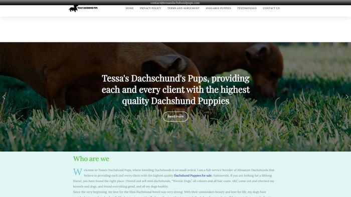 Tessasdachshundpups.com - Dachshund Puppy Scam Review