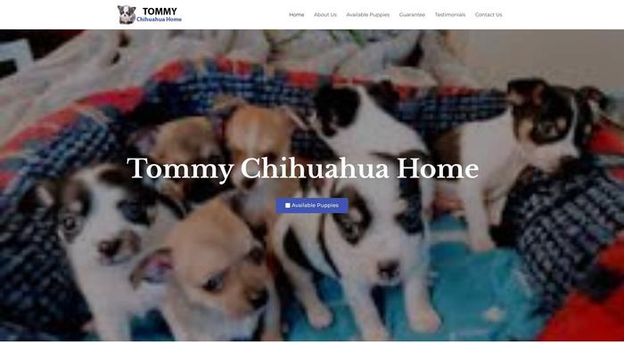 Tommychihuahuahome.com - Chihuahua Puppy Scam Review