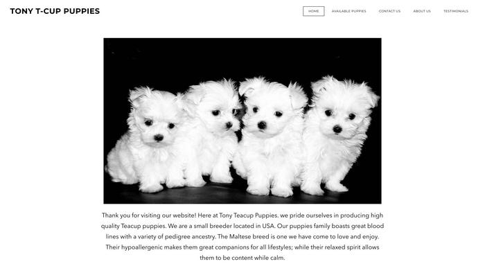 Tonyteacuppuppies.com - Yorkshire Terrier Puppy Scam Review