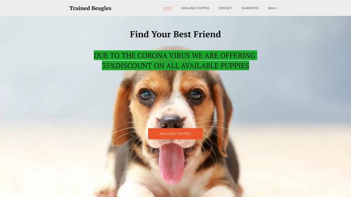 Trainedbeagles.com - Beagle Puppy Scam Review