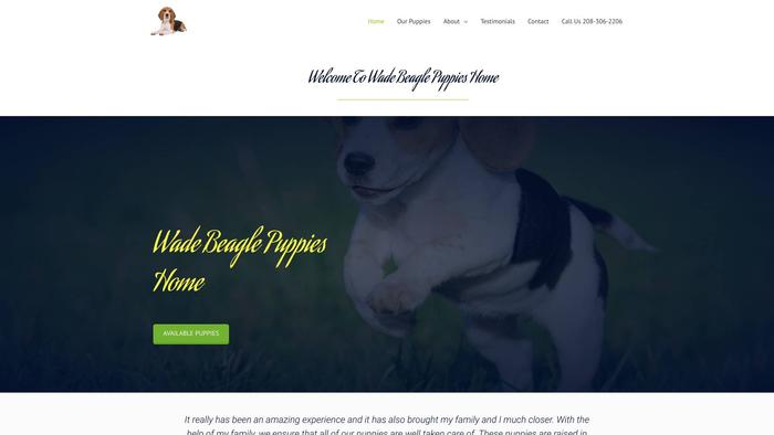 Wadebeaglepuppies.com - Beagle Puppy Scam Review