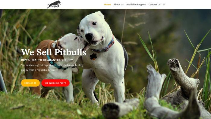 Wepopitbullpuppies.com - Pit Bull Puppy Scam Review