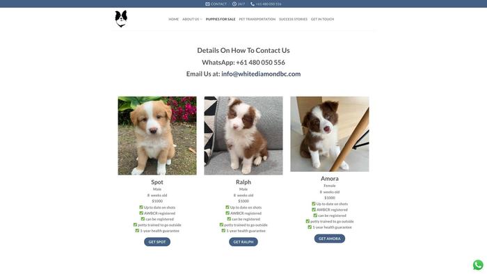 Whitediamondbc.com - Bordercollie Puppy Scam Review