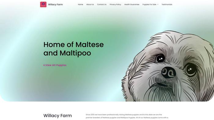 Willacymalfarm.com - Maltese Puppy Scam Review